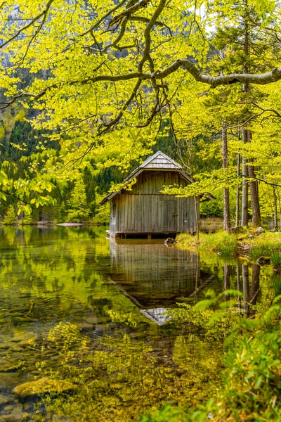 白天湖边绿树旁的棕色木屋